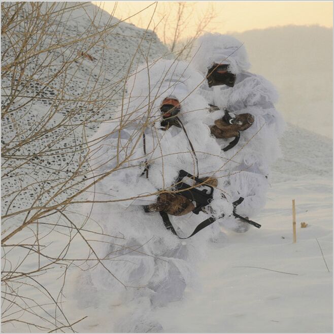 Costumes Ghillie de neige blan - Ghillie Suit Woodland avis et prix
