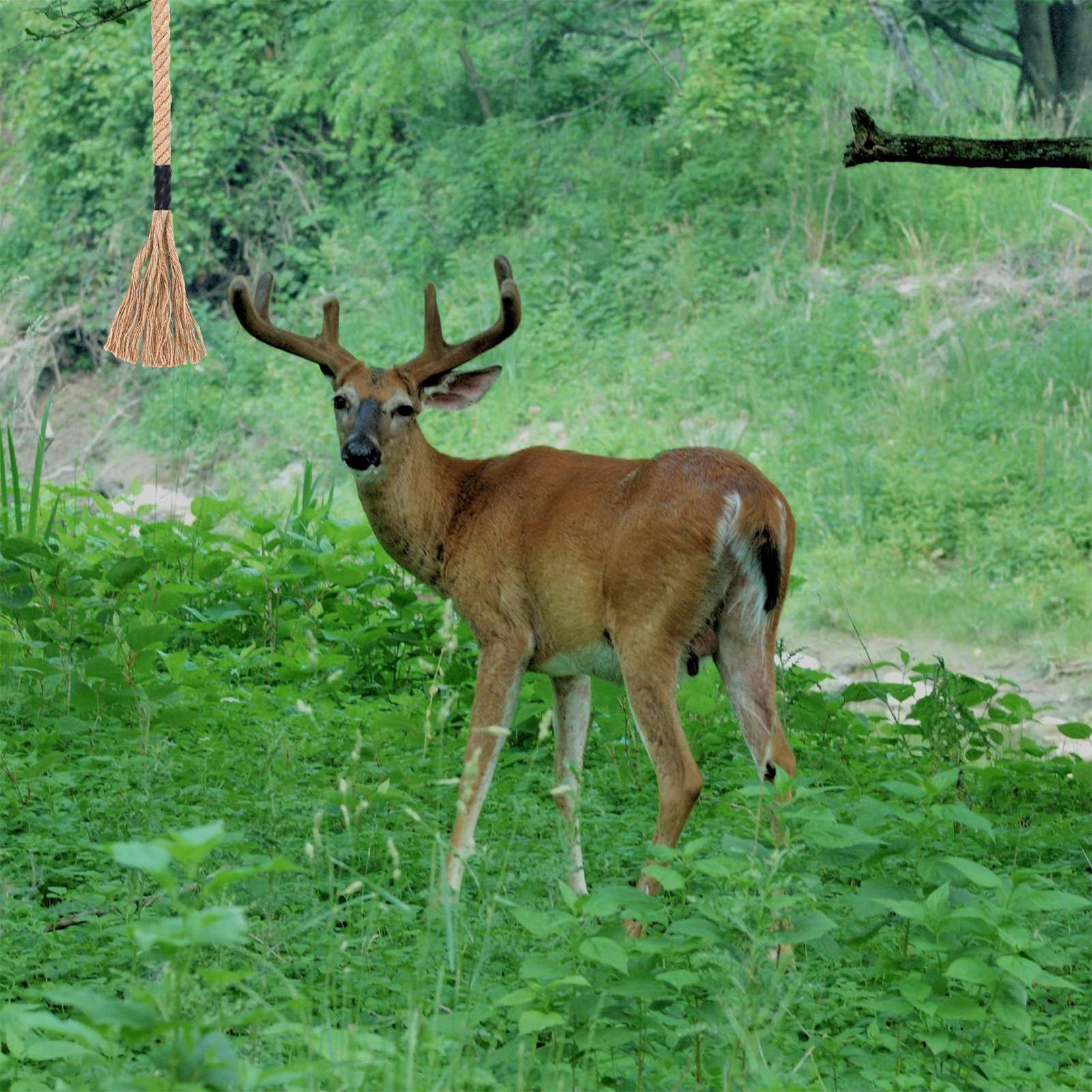 Grattoir de cerf efficace, att - Deer Attractant Scent avis et prix