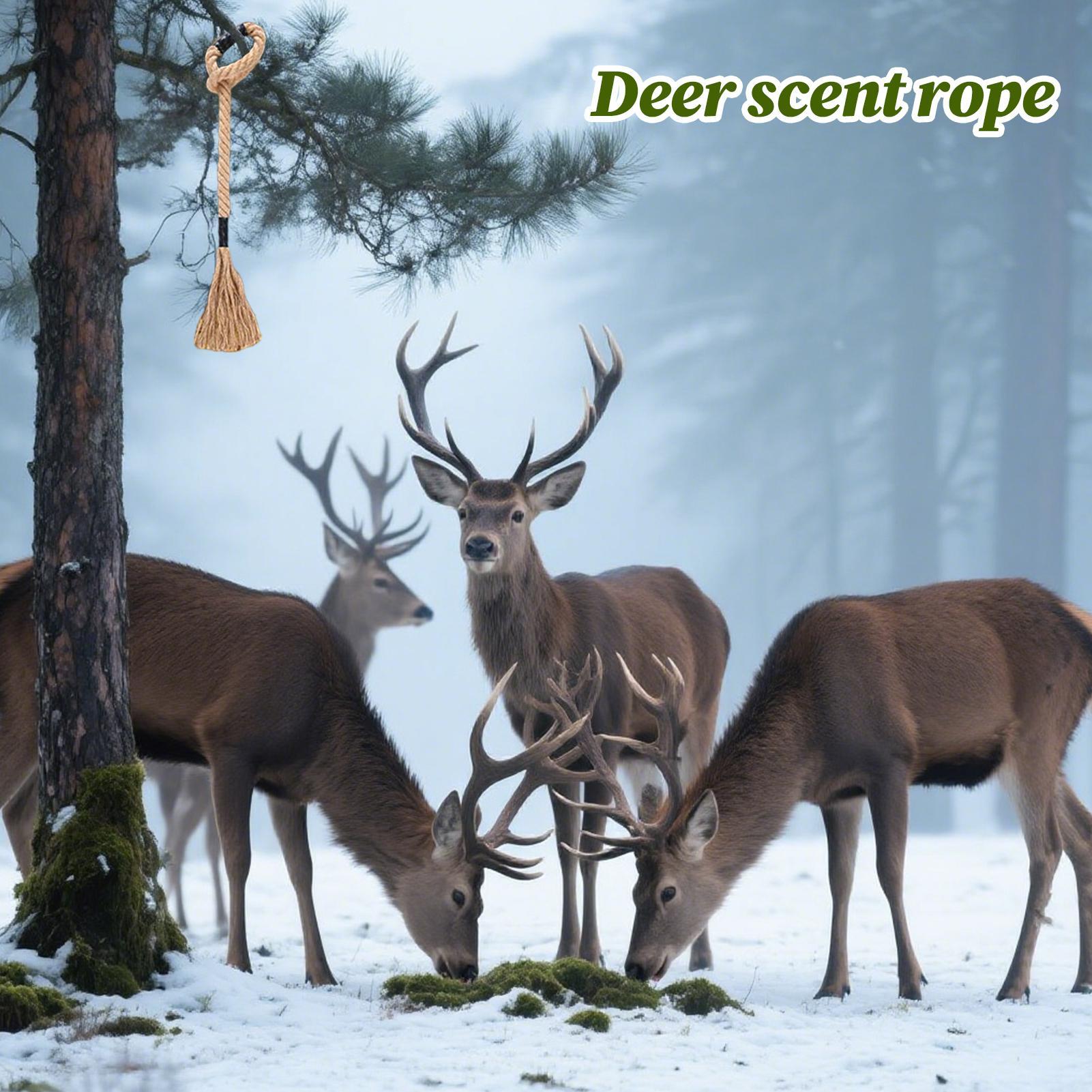 Grattoir de cerf efficace, att - Deer Attractant Scent avis et prix